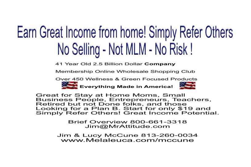 Mr. Attitude program flyer: earn great income from home by simply referring others